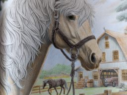 whatsapp image 2026-03-31 at 11.41.55